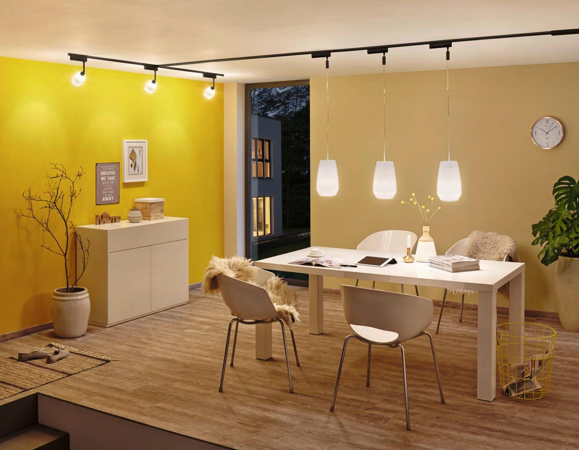 Netzadapter 50 W Schwarz Zigbee-Technologie - Schwarz, Basics, Kunststoff (16,6/5,0cm) - Paulmann