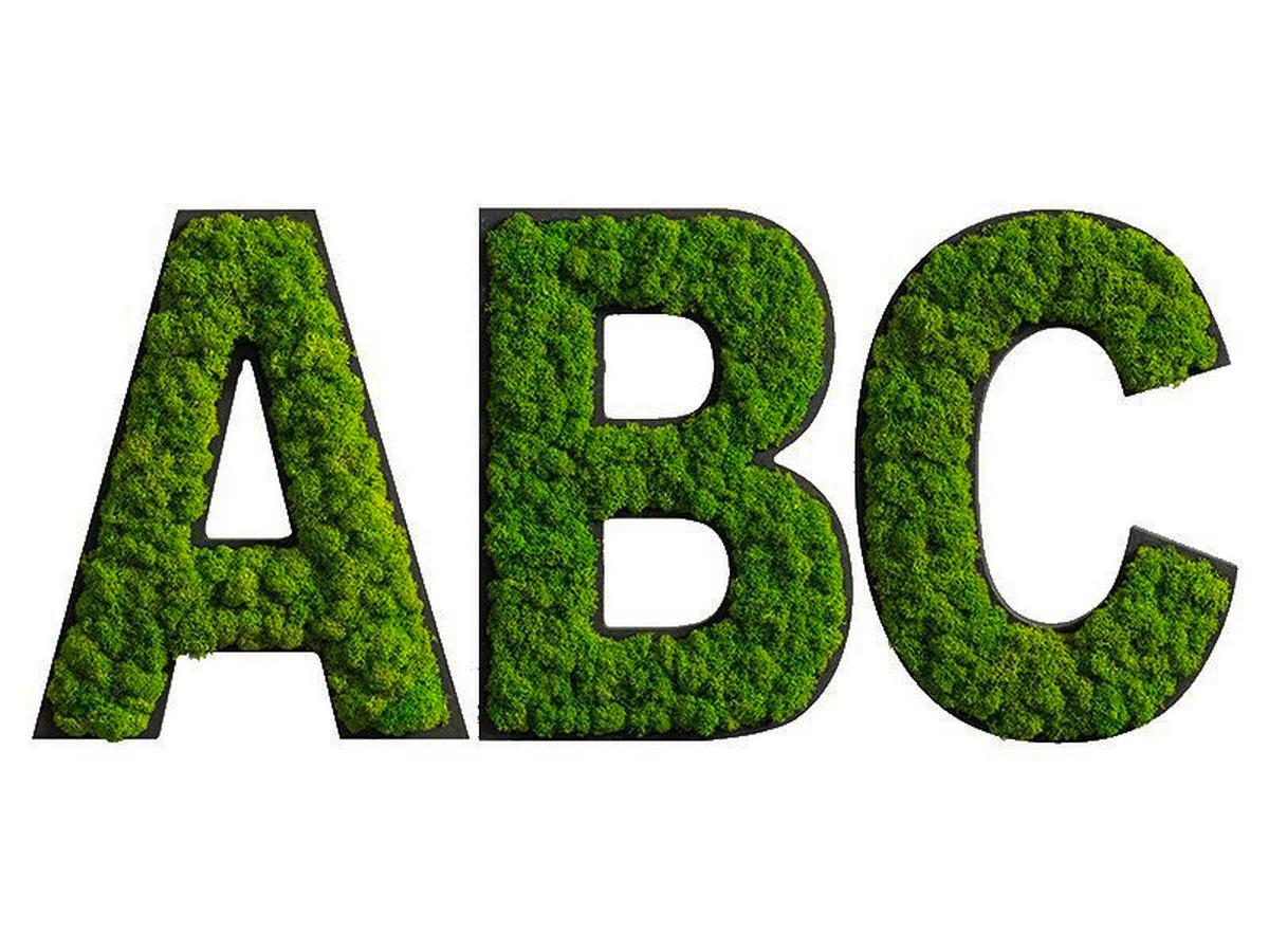 Moosbild Grün B: 26 cm - Schwarz/Grün, Basics, Naturmaterialien/Holz (26/21/4cm)