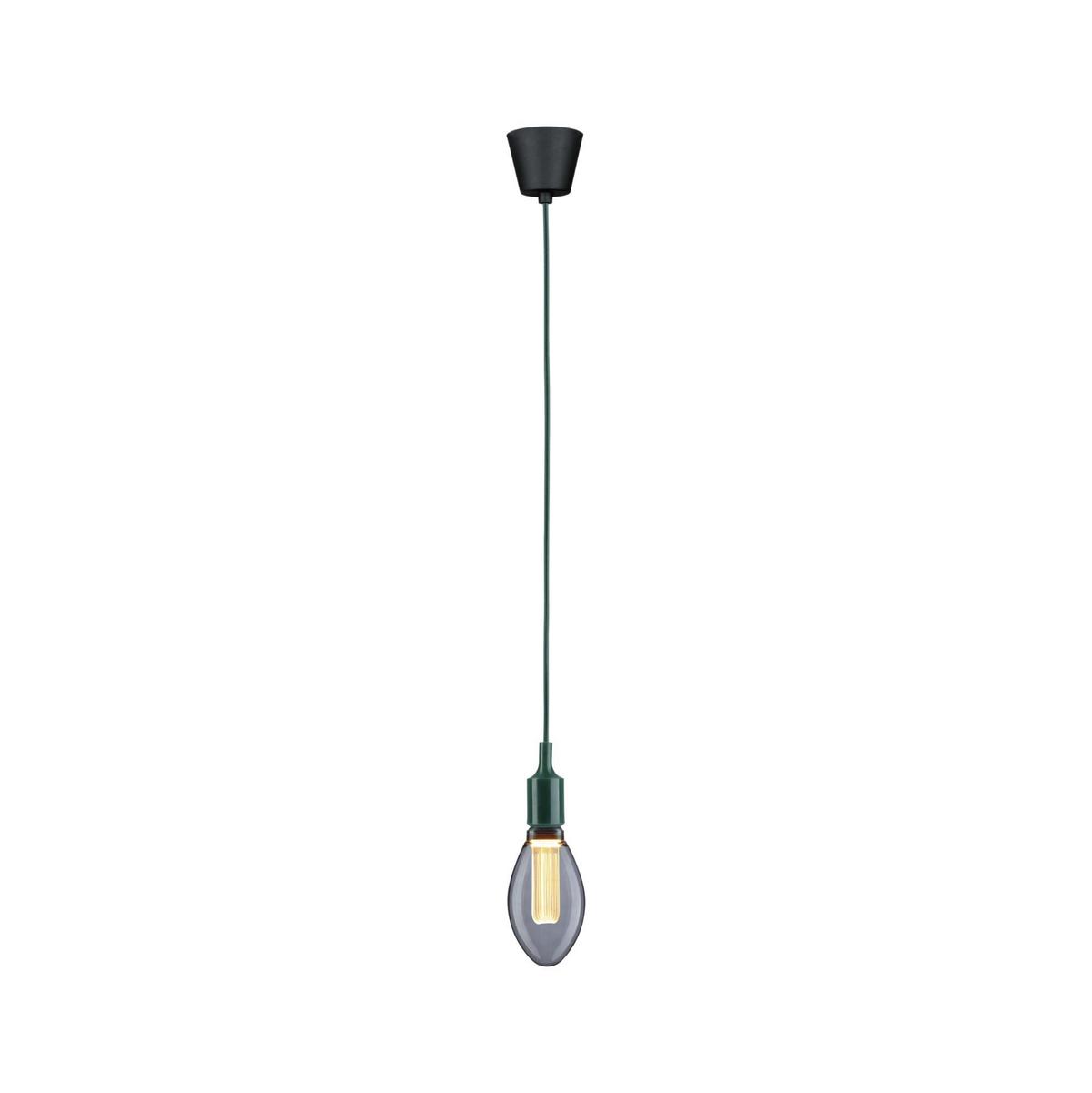 Hängeleuchte Ø 9 cm 1-Flammig - Schwarz/Grün, Basics, Kunststoff/Textil (9,0/218cm) - Paulmann