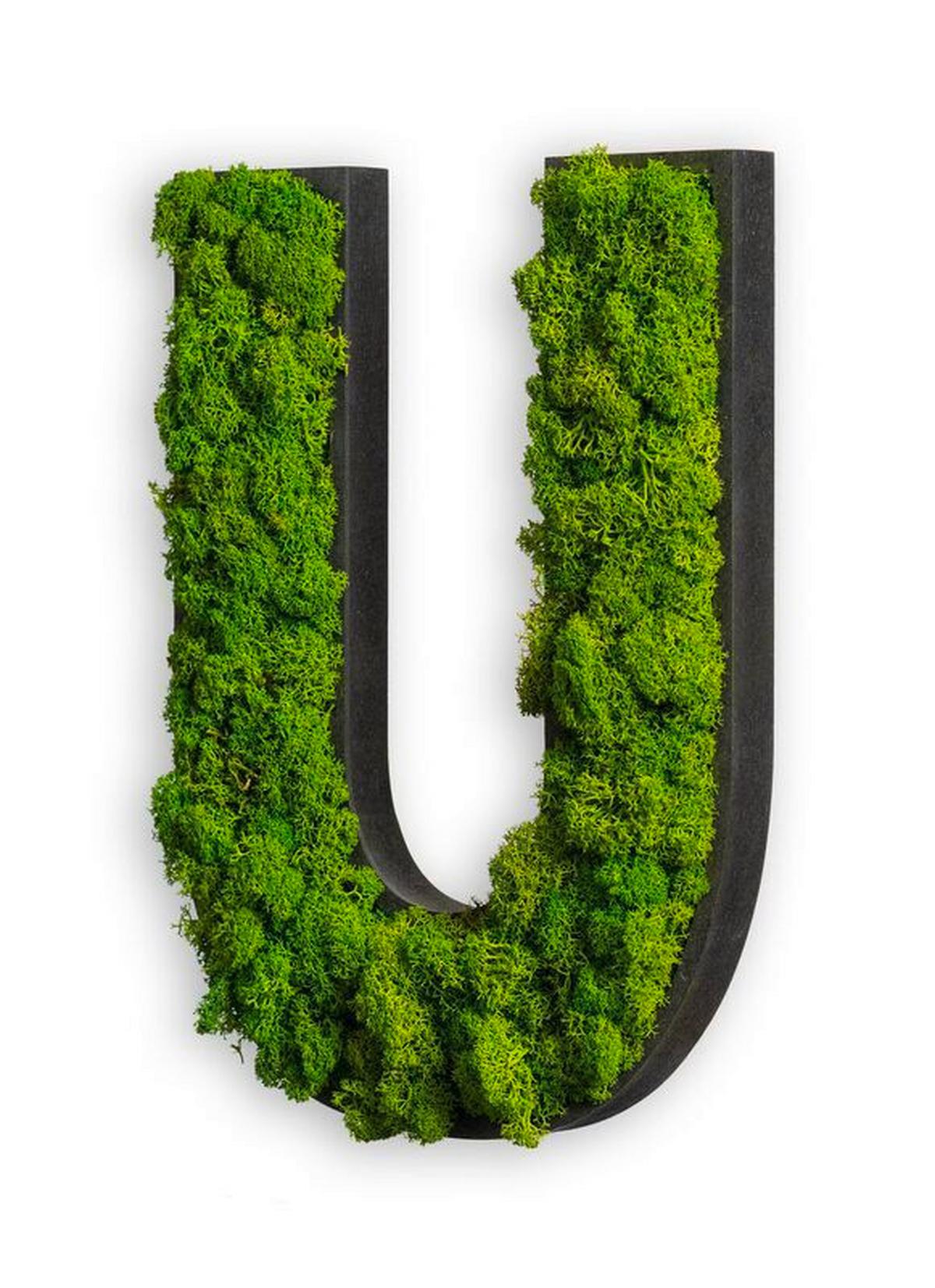 Moosbild Grün B: 26 cm - Schwarz/Grün, Basics, Naturmaterialien/Holz (26/19/4cm)