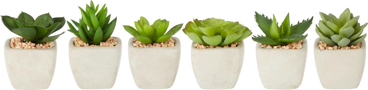 UMELÁ RASTLINA SUKKULENTE - zelená, Lifestyle, plast (7-9cm) - Modern Living