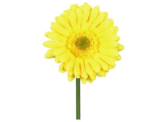 Gerbera Gelb - Gelb/Grün, KONVENTIONELL, Kunststoff/Textil (50cm) Gerbera Gelb - Gelb/Grün, KONVENTIONELL, Kunststoff/Textil (50cm)