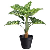 Umělá rostlina V: 45 cm - černá/zelená, Basics, plast (45cm) - Modern Living