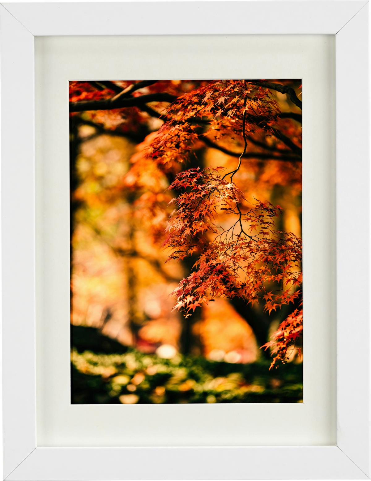 RÁM NA OBRAZY GITTA 50x70 cm - biela, Modern, kompozitné drevo/plast (50/70cm) - Modern Living