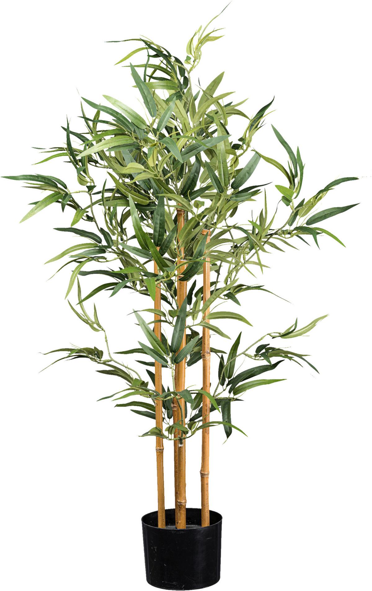 Kunstpflanze Bambus H: 105 cm - Schwarz/Naturfarben, Design, Kunststoff (105cm) - P & B