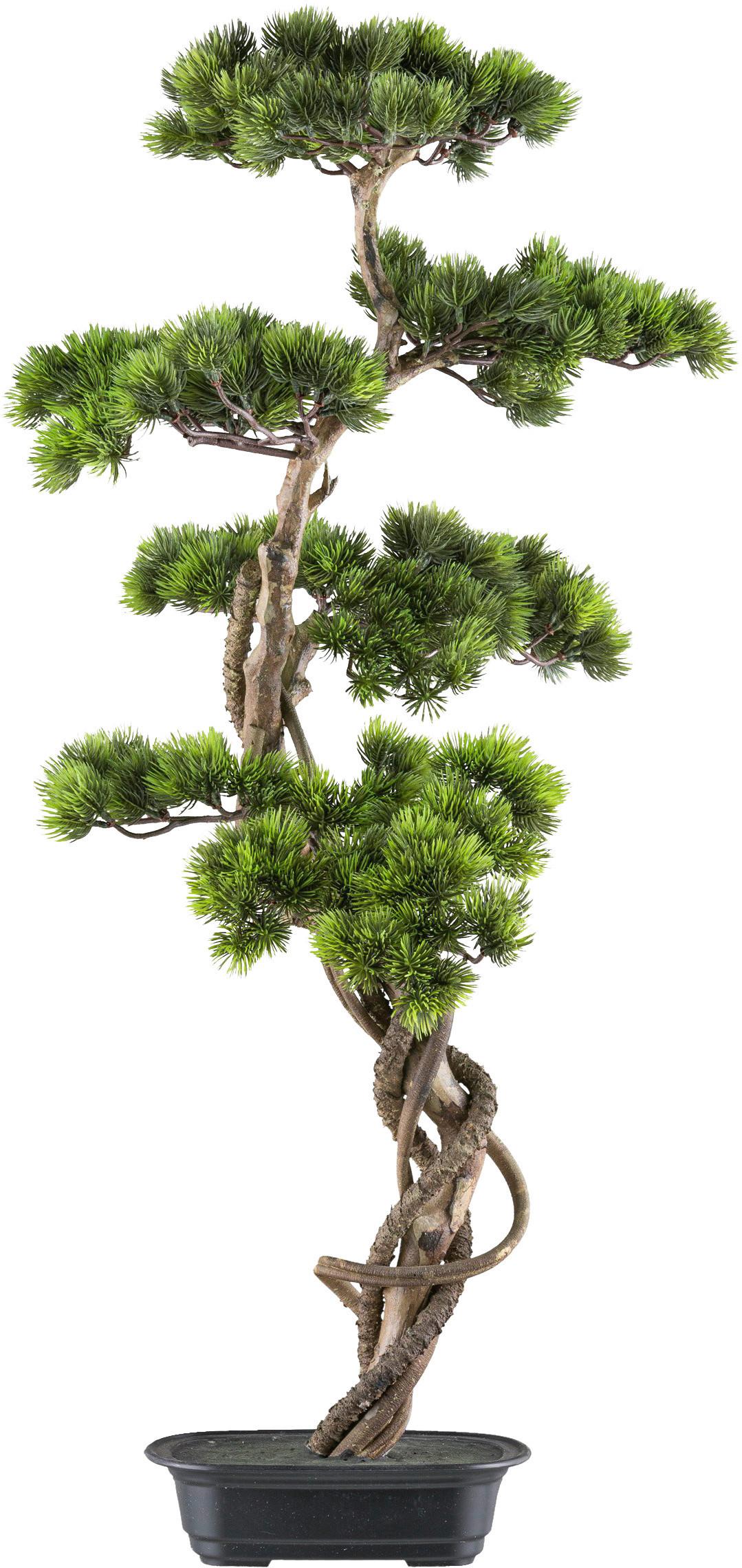 Kunstpflanze Bonsai H: 90 Cm - Schwarz/Braun, Design, Kunststoff (90cm) - P & B