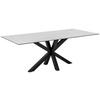 Esstisch Heaven 200x100 cm Weiß/Schwarz - Schwarz/Weiß, KONVENTIONELL, Keramik/Metall (200/100/75,5cm) - Livetastic