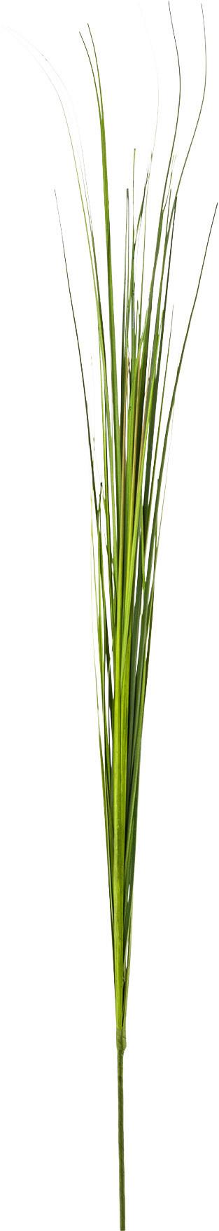 Dekopflanze Isolepsisgras Grün H: ca. 85 cm, Ena - Grün, Natur, Kunststoff (85cm)