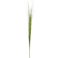Dekopflanze Isolepsisgras Grün H: Ca. 85 Cm, Ena - Grün, Natur, Kunststoff (85cm)