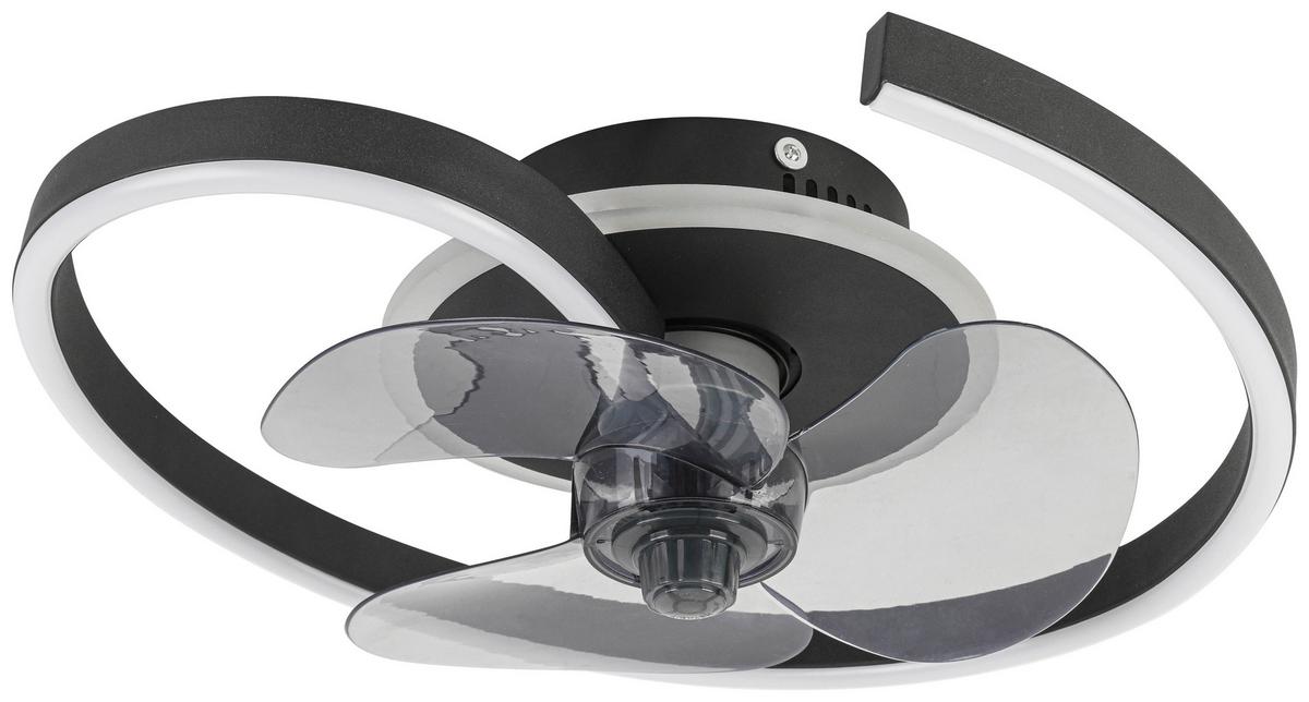 Deckenventilator Zana - Transparent/Schwarz, MODERN, Kunststoff/Metall (40/13cm) - Luca Bessoni