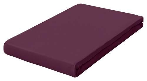 Boxspring-spannleintuch Pure Boxspring - Beere, Basics, Textil (180-200/200-220cm) - Schlafgut