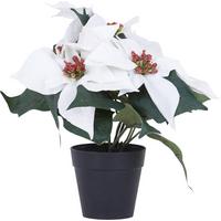 Weihnachtsstern H: 26 cm - Braun/Weiß, KONVENTIONELL, Kunststoff (26cm)