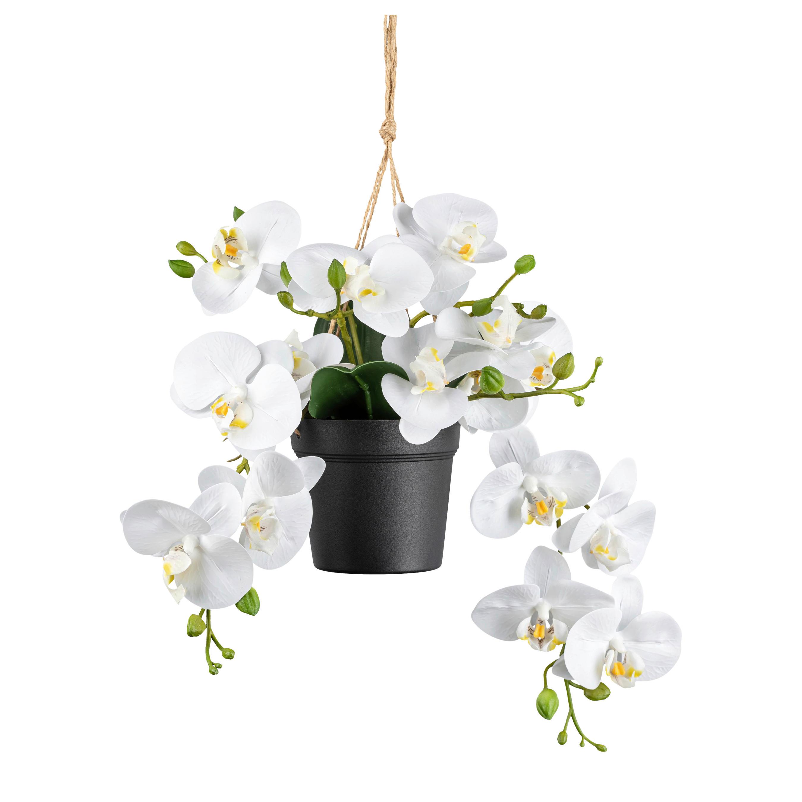 Kunstpflanze Orchideen Weiß, Topf: Schwarz. H: 25 cm - Schwarz/Weiß, Design, Kunststoff (25cm) - P & B