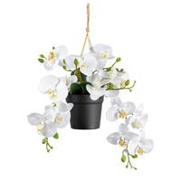 Kunstpflanze Orchideen Weiß, Topf: Schwarz. H: 25 cm - Schwarz/Weiß, Design, Kunststoff (25cm) - P & B