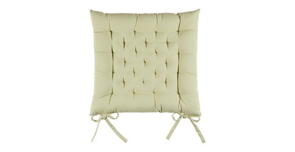 Sitzkissen Lianna - Hellgrün, MODERN, Textil (42/42/5cm) - Luca Bessoni