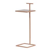 Beistelltisch Toste Altrosa B: 22 cm - Altrosa, Design, Metall (22/22/64cm) - Livetastic