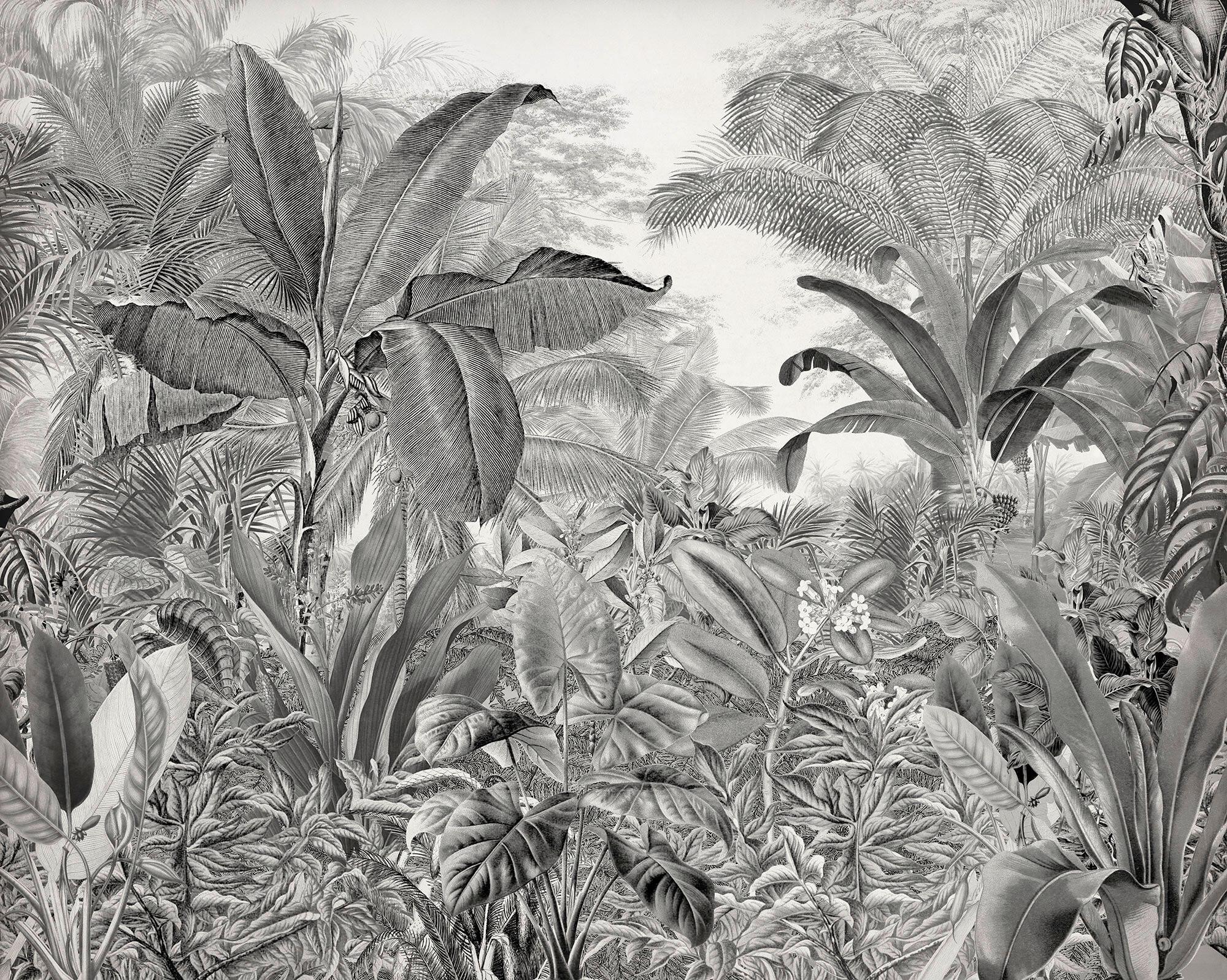 Fototapete Roraima - Schwarz/Weiß, Trend, Papier (300/280cm)