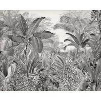 Fototapete Roraima - Schwarz/Weiß, Trend, Papier (300/280cm)
