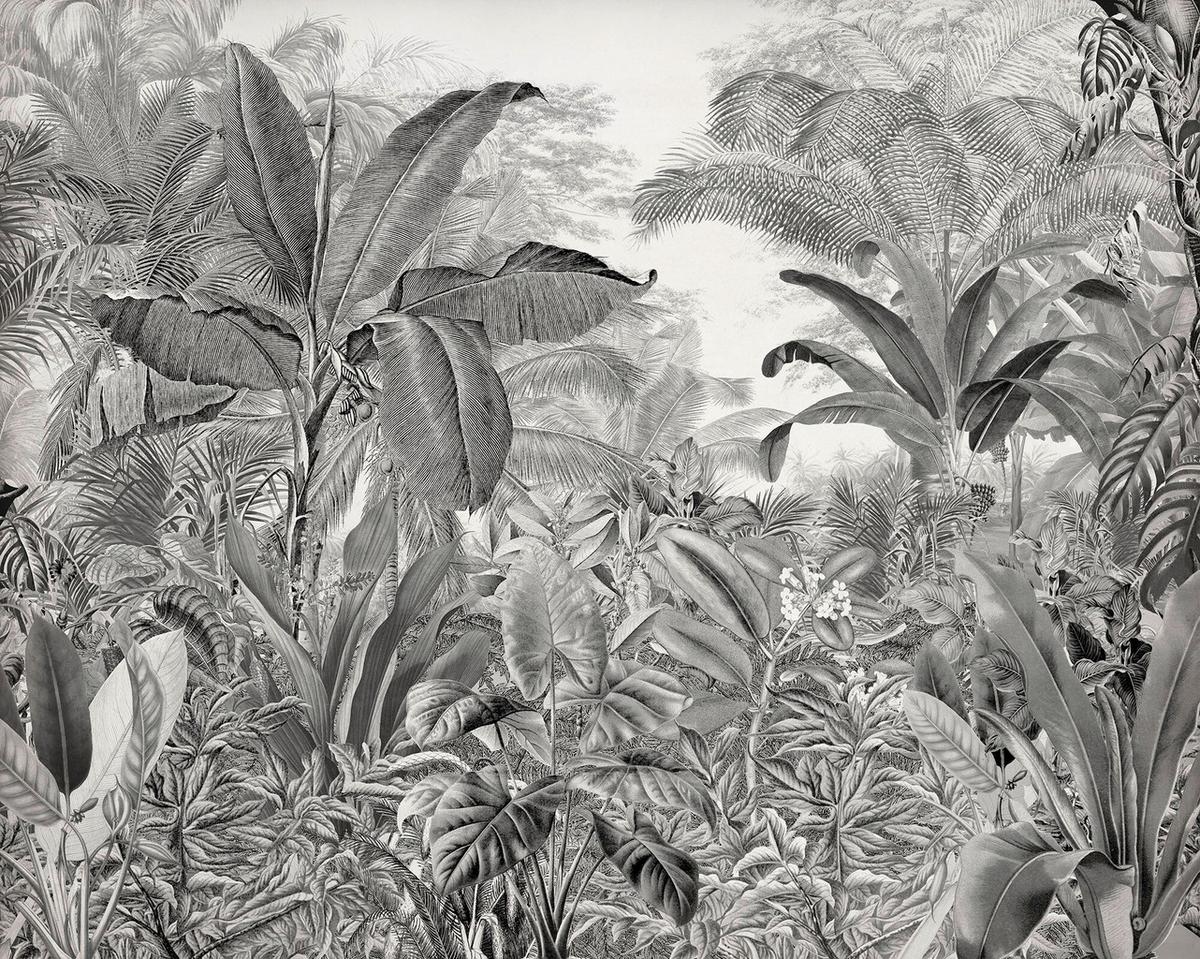 Fototapete Roraima - Schwarz/Weiß, Trend, Papier (300/280cm)