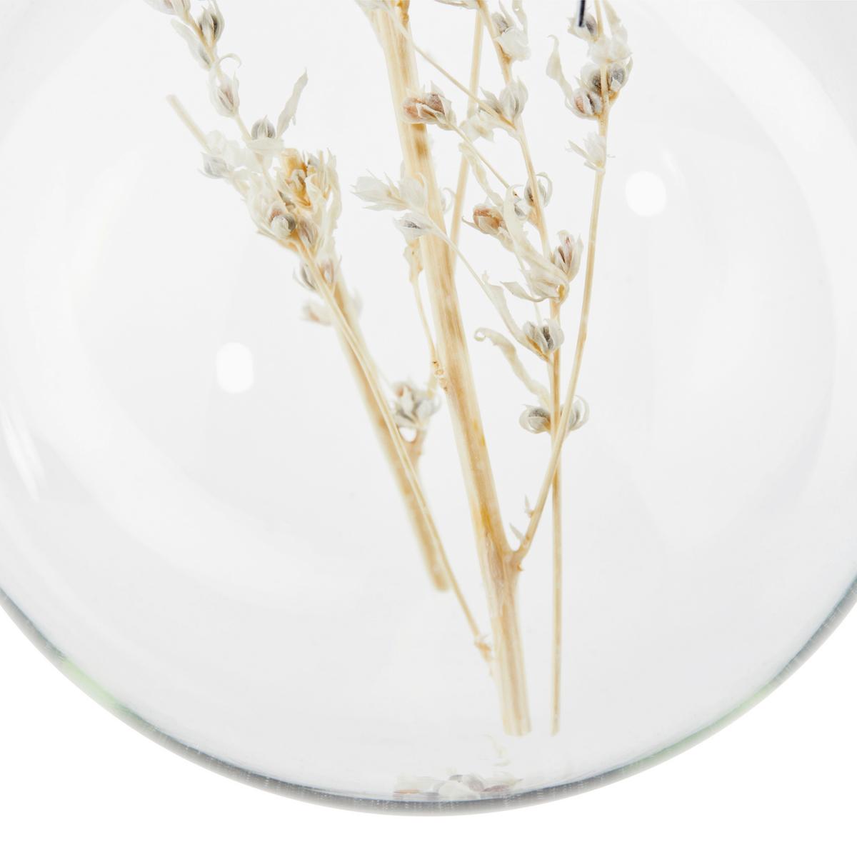 Christbaumkugel Glas Naturafraben/Transparent - Transparent/Naturfarben, MODERN, Glas (8cm)