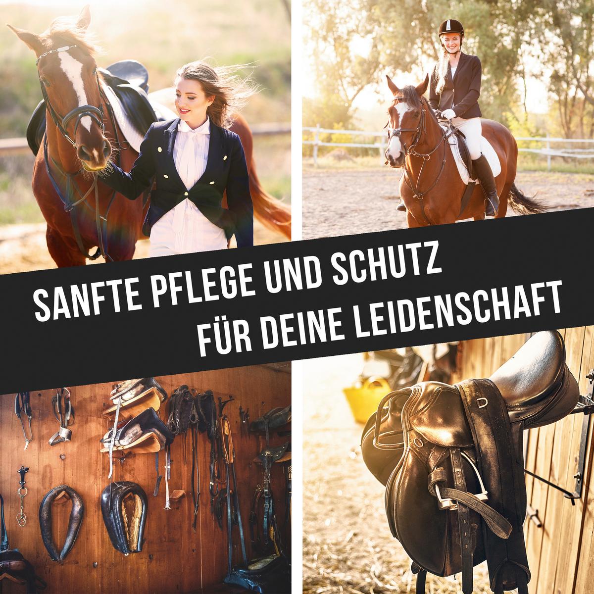 LEDERPFLEGE PREMIUM LEDER LOTION - Basics, Kunststoff (500ml) - Urban Forest