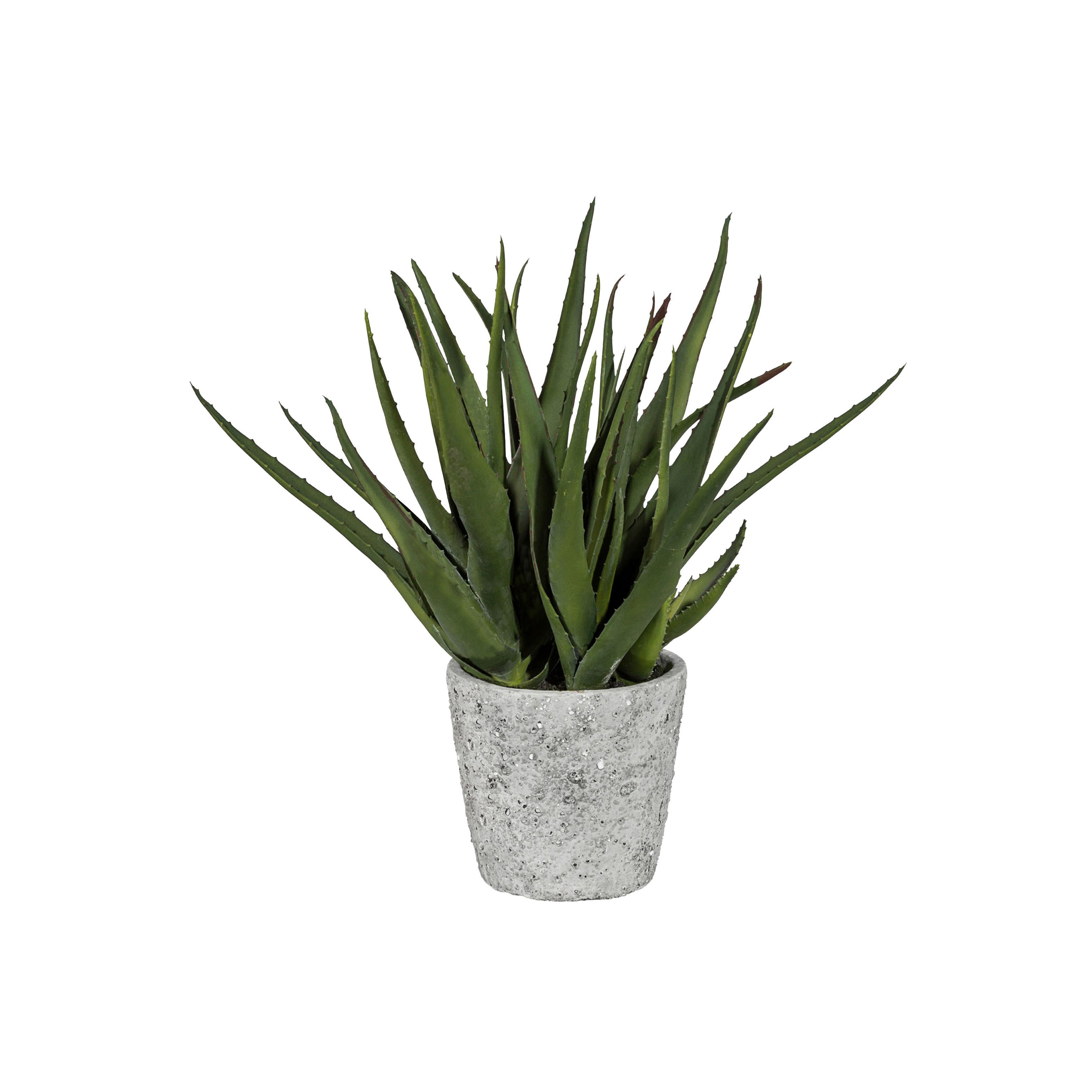 Kunstpflanze Sukkulenten Grau/Grün, 44 cm - Grau/Grün, Design, Keramik/Kunststoff (44cm) - P & B