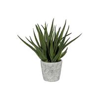 Kunstpflanze Sukkulenten Grau/Grün, 44 cm - Grau/Grün, Design, Keramik/Kunststoff (44cm) - P & B
