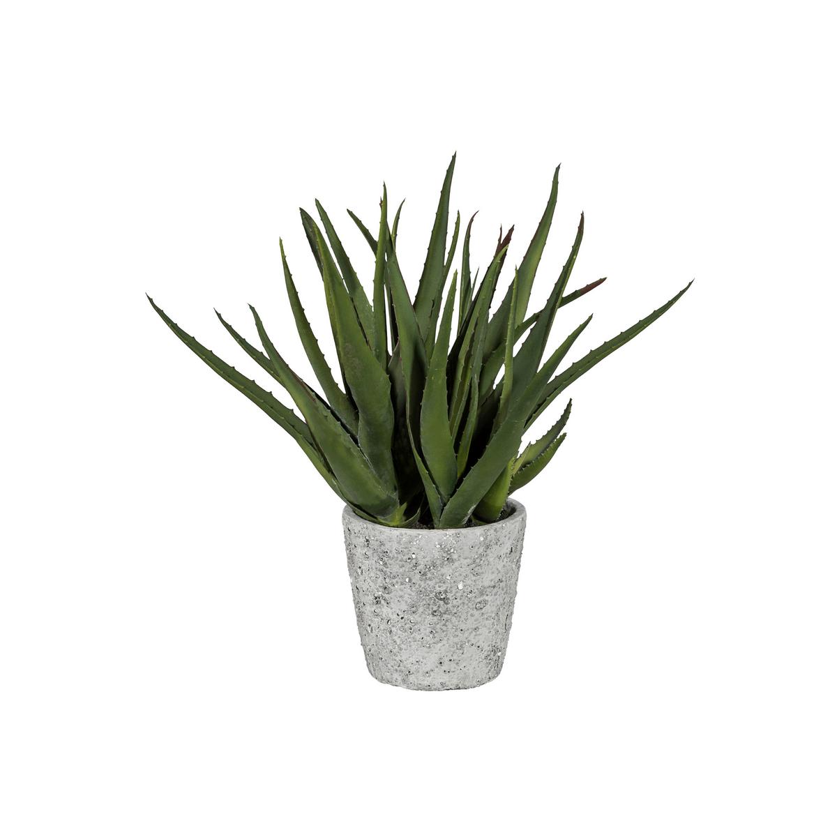 Kunstpflanze Sukkulenten Grau/Grün, 44 cm - Grau/Grün, Design, Keramik/Kunststoff (44cm) - P & B