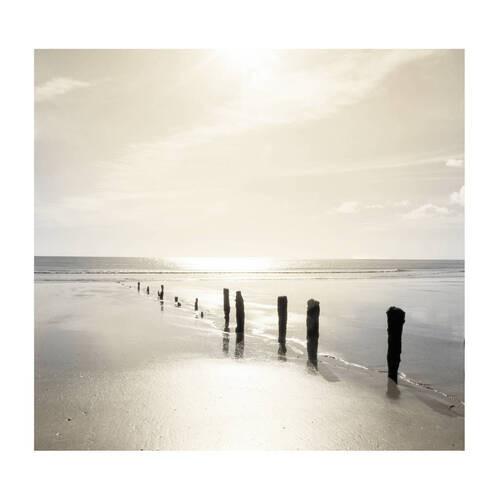 Fototapete 107355 - Braun/Grau, Basics, Papier/Kunststoff (200/280cm)