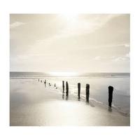 Fototapete 107355 - Braun/Grau, Basics, Papier/Kunststoff (200/280cm)