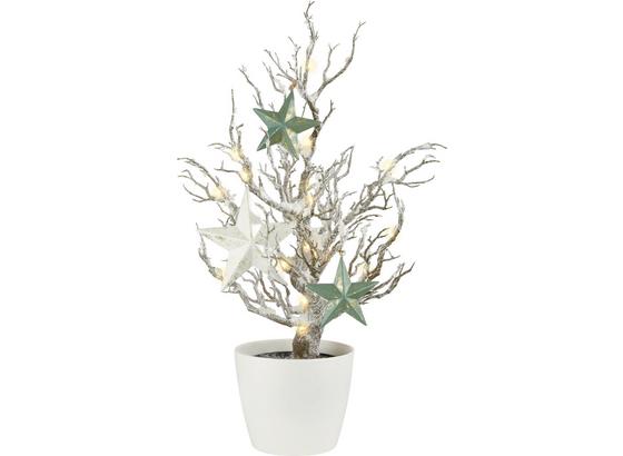 Umelá Rastlina Sam - hnedá/biela, umelá hmota (72cm) Umelá Rastlina Sam - hnedá/biela, umelá hmota (72cm)