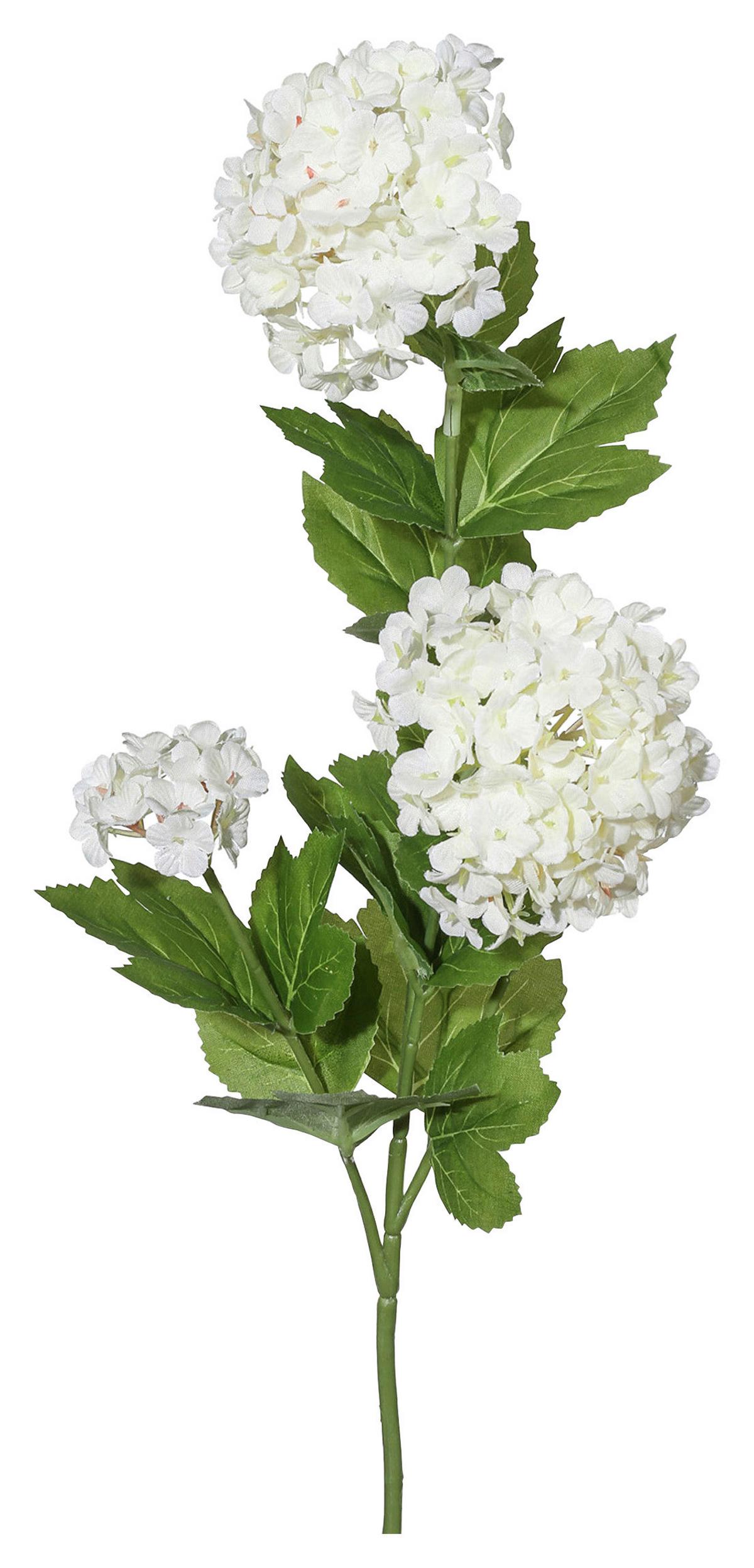 Kunstpflanze Schneeballzweig Creme/Grün L:. 61cm, Elia - Creme/Grün, KONVENTIONELL, Kunststoff (61cm)