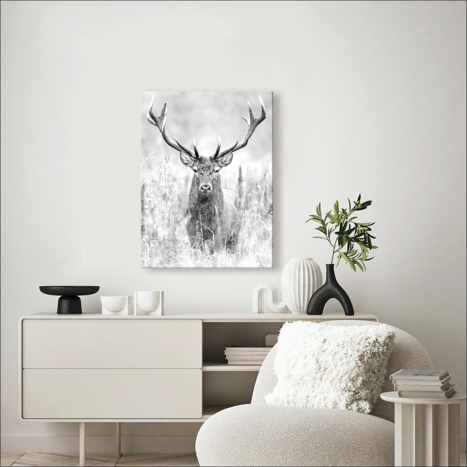 Leinwandbild Grey Deer Head II Hirsch Grau 57x77 cm - Grau, Basics, Holzwerkstoff (57/77/2cm)