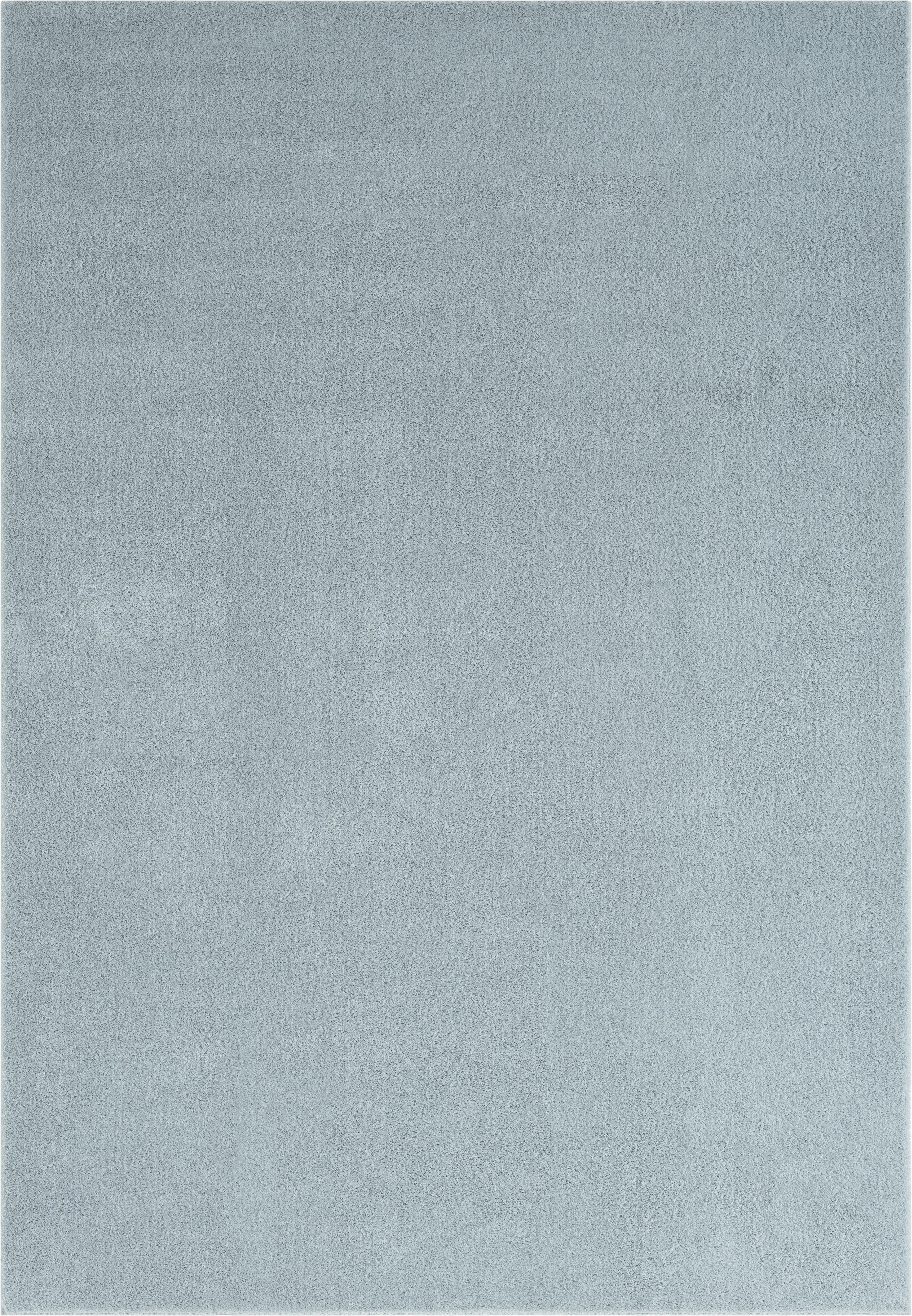 Fellteppich Loft - Blau, KONVENTIONELL, Textil (60/110cm)