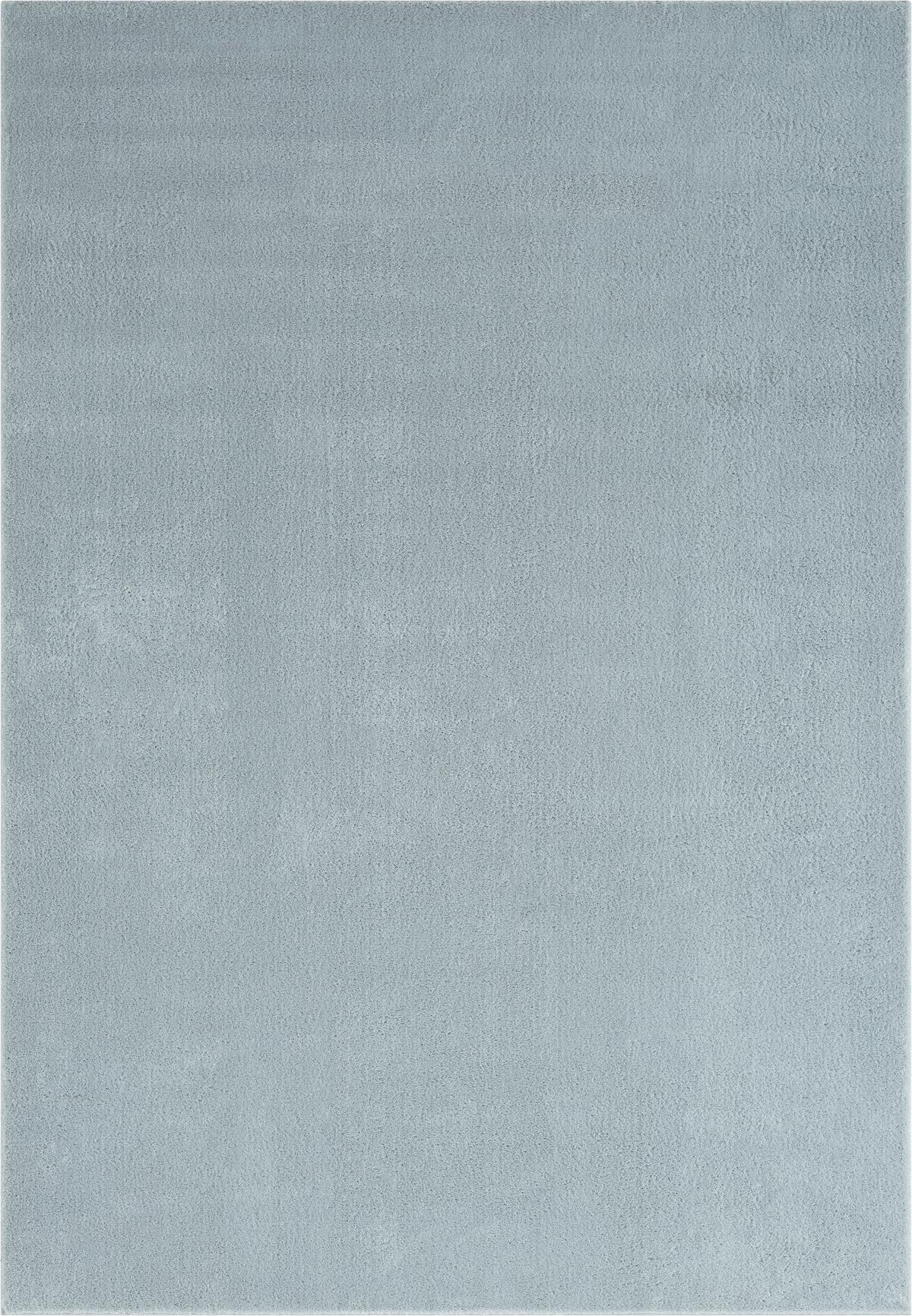 Fellteppich Loft - Blau, KONVENTIONELL, Textil (80/150cm)