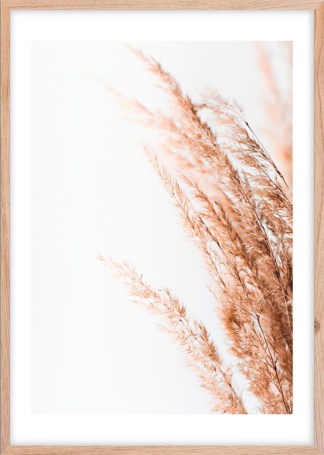 Obraz Image, Ca. 50/70cm - svetlohnedá/biela, kompozitné drevo/plast (50/70cm) - Modern Living