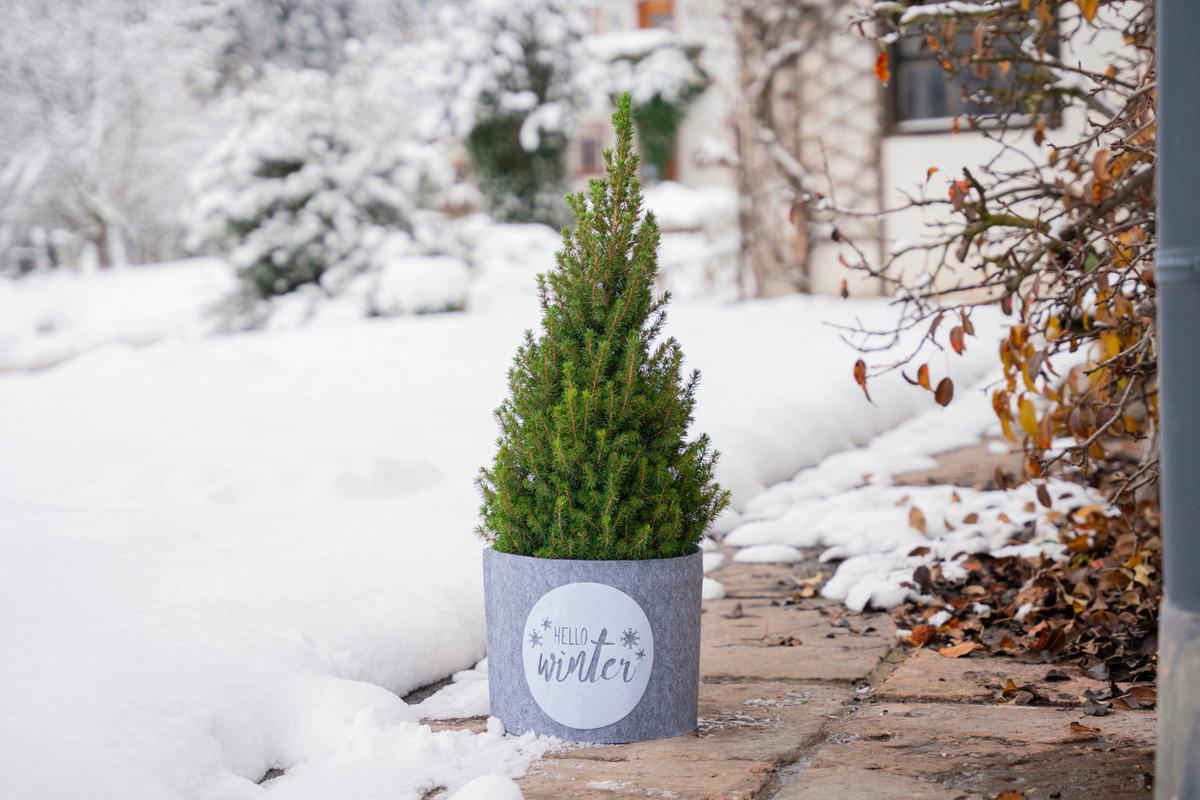 Deko Filz Topfschutz, 114x25cm ,hello Winter M - Grauweiß, Basics, Kunststoff (114/25cm) - Windhager