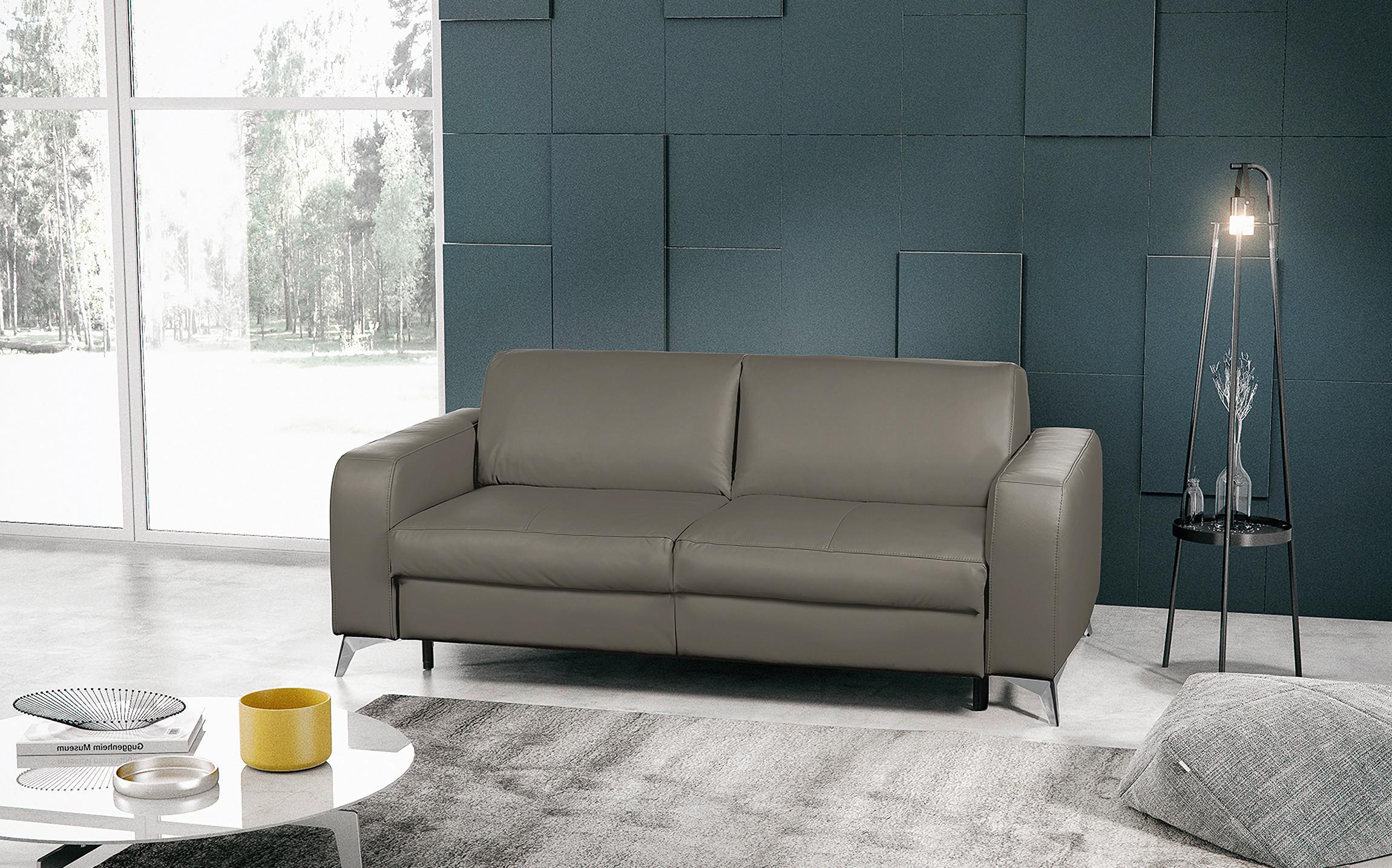 Schlafsofa Aloe Echtleder Schlammfarben B: 204 cm - Schlammfarben/Silberfarben, Design, Leder (204/84/104cm) - Livetastic