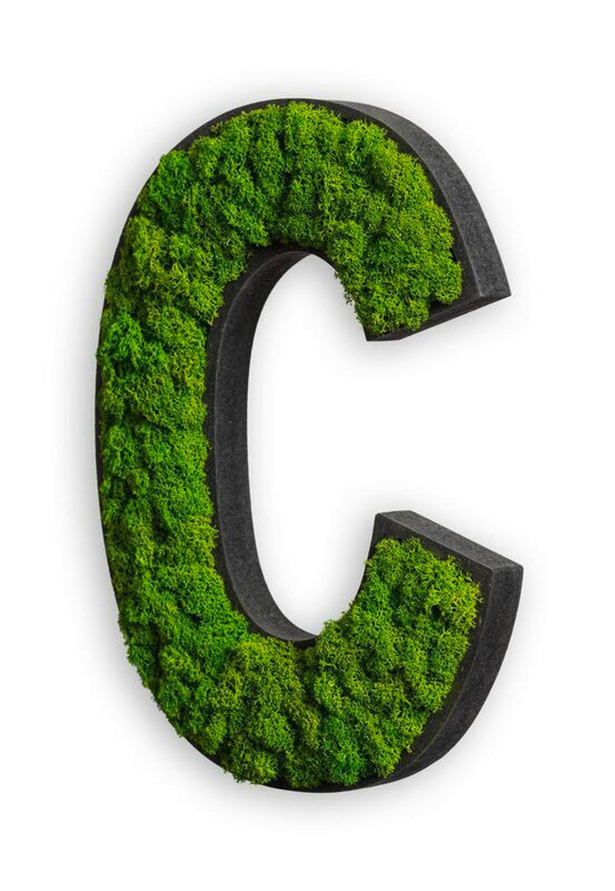 Moosbild Grün B: 27 cm - Schwarz/Grün, Basics, Naturmaterialien/Holz (12-20/25/3,5cm)