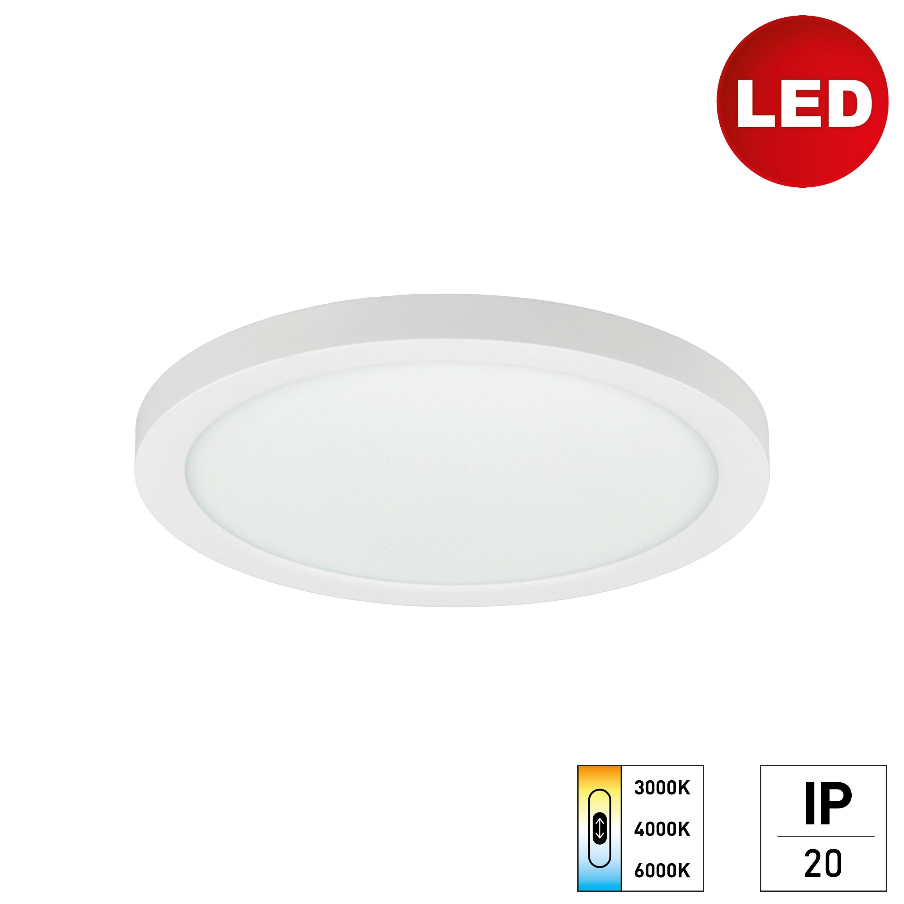 LED-Deckenleuchte 2427500180196 - Weiß, KONVENTIONELL, Kunststoff (22,5/1,7cm)