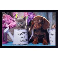 Fußmatte Meli 40x60 cm Tiermotiv - Multicolor, Basics, Kunststoff (40/60cm) - Ondega