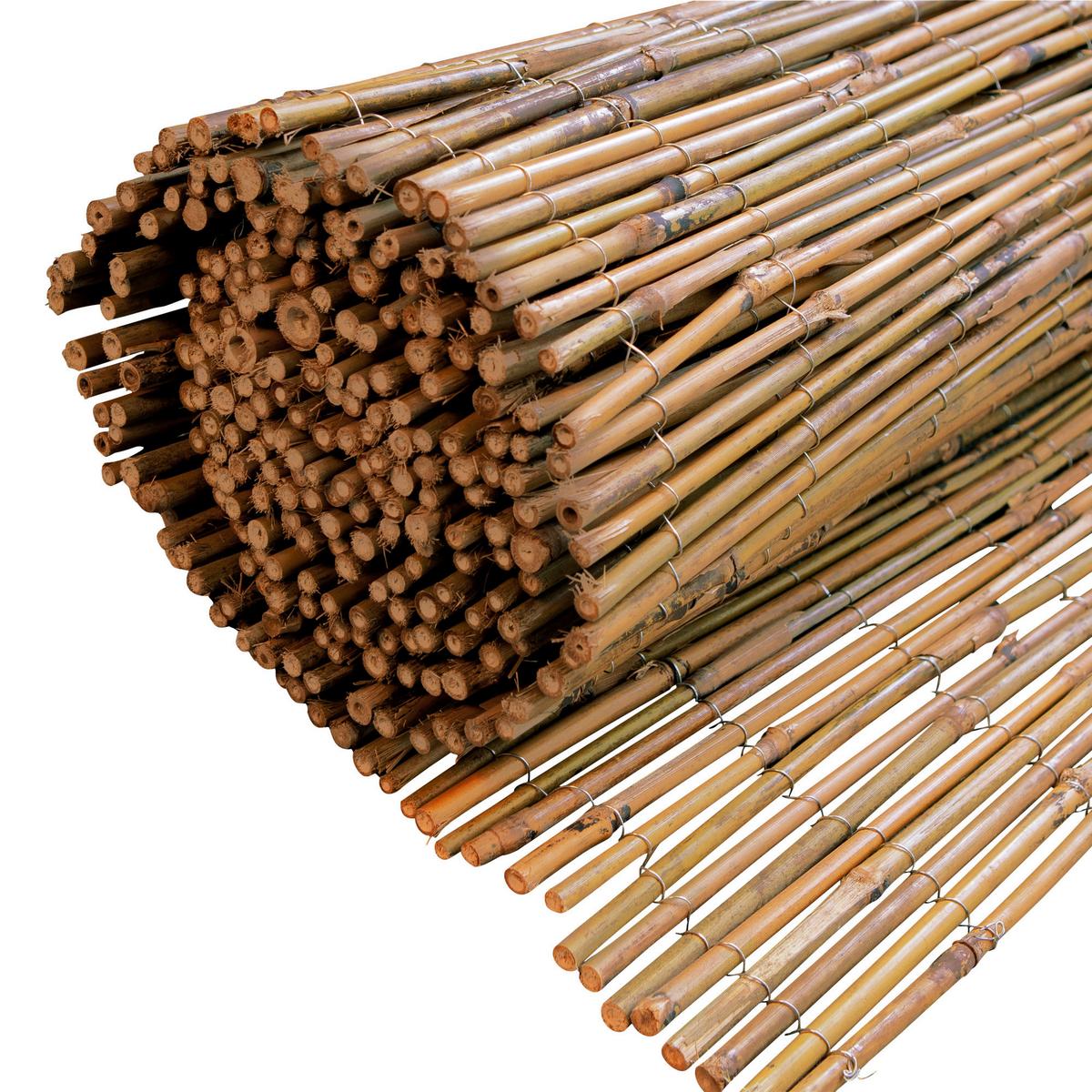 Sichtschutz Taipei Bambus - Naturfarben, Basics, Naturmaterialien (300/90cm)