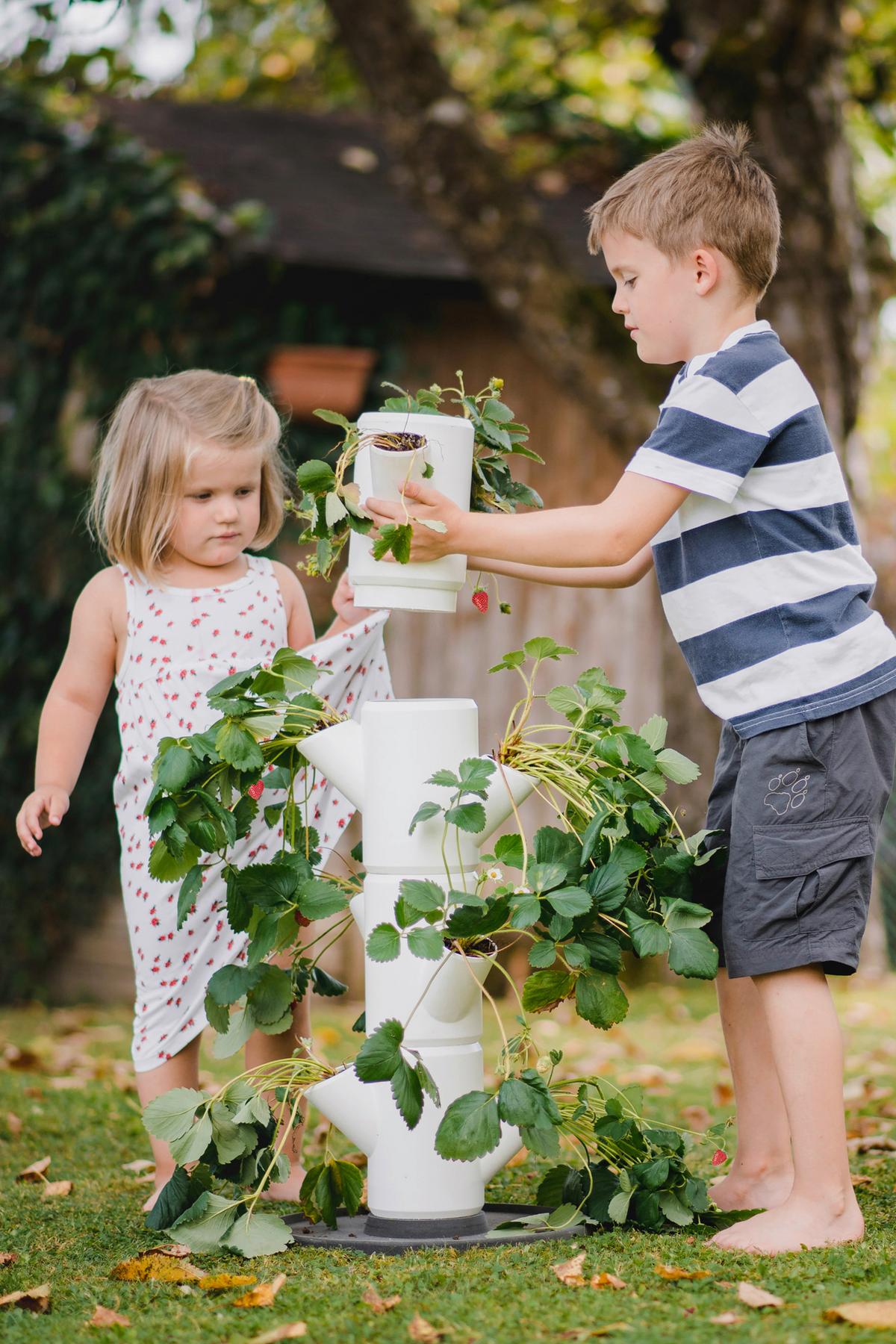 Erdbeertopf weiß - Weiß, Basics, Kunststoff (32/77cm) - Gusta Garden