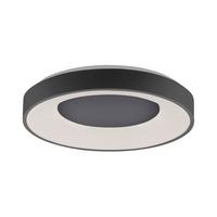 Led-deckenleuchte Anika Ø 48 Cm Dimmbar Mit Fernbedienung - Anthrazit, Basics, Kunststoff/Metall (48/7,8cm)