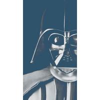 Fototapete Star Wars Icons Vader - Schwarz/Weiß, Trend, Textil (150/280cm)