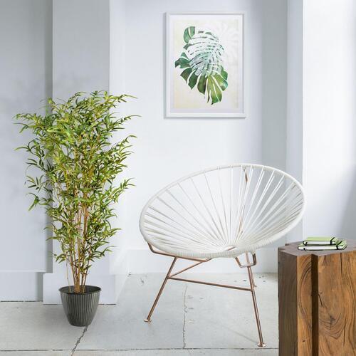 Bambus Benny H: 120 Cm - Schwarz/Grün, MODERN, Kunststoff (120cm) - P & B