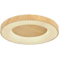 Stropní LED svítidlo Luzia, max. 42 Watt - bílá/barvy dubu, kov/plast (60/60/10cm) - Premium Living