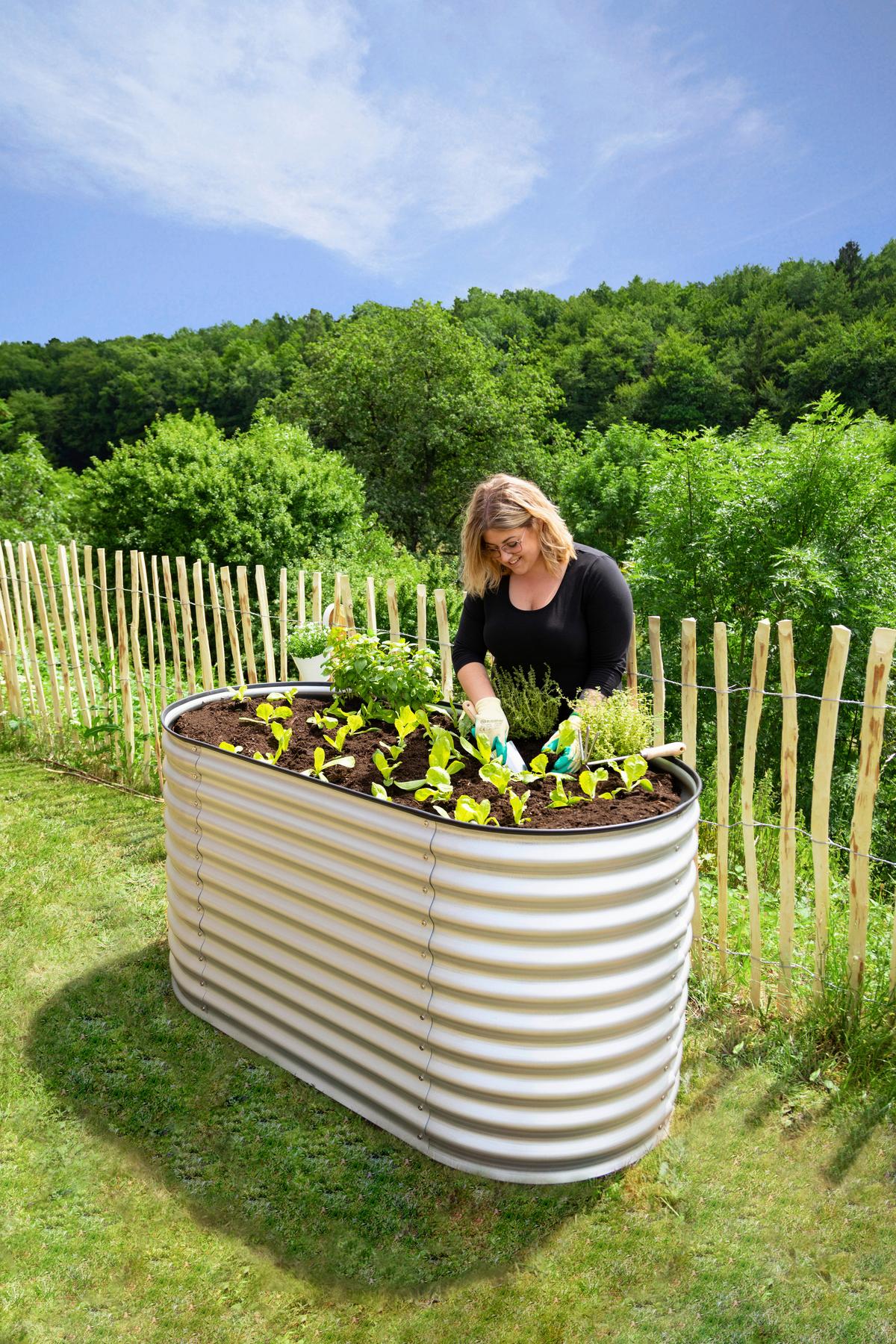 Hochbeet Metall Hochbeet Oval 160 Cm - Silberfarben, Basics, Metall (160/82/80cm)