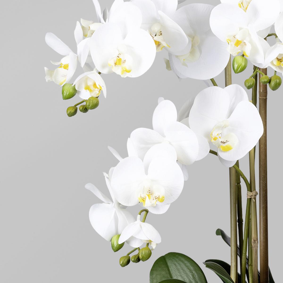 Kunstpflanze Orchidee Weiß H: 75 cm mit Topf - Weiß/Braun, Trend, Kunststoff (75cm) - P & B