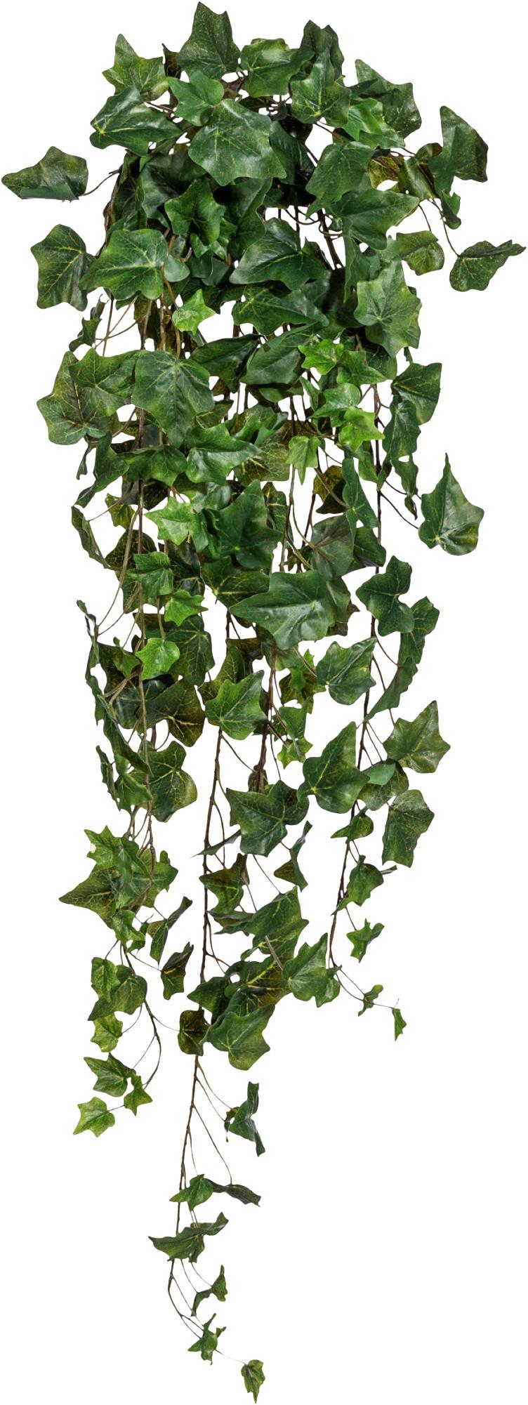 Kunstpflanze Hängepflanze Grün, 100 cm - Grün, Design, Kunststoff (100cm) - P & B